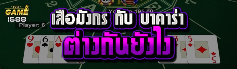 เสือมังกร กับ บาคาร่า ต่างกันยังไง