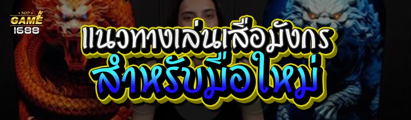 แนวทางเล่นเสือมังกร