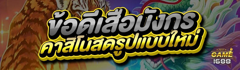 ข้อดีเสือมังกร