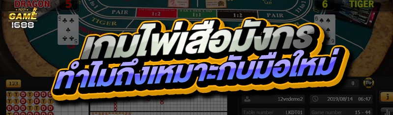 เกมไพ่เสือมังกร